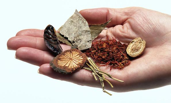 藥品注冊變革，中藥迎大利好！