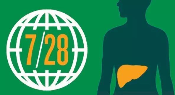 2015國內(nèi)肝炎用藥市場超400億元：護(hù)肝藥為領(lǐng)先品類，占比1/...