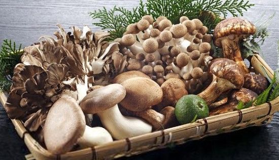 乳腺癌疾病的飲食預防