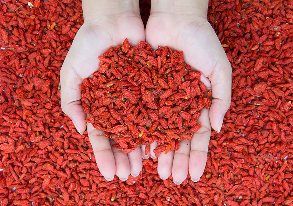 如何辨別枸杞是否人工染色？