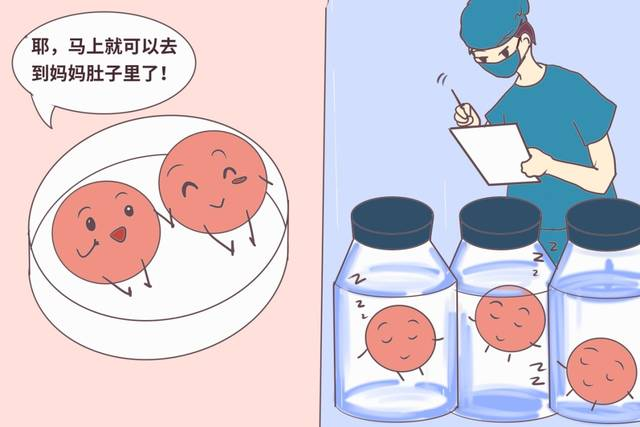 哪些胚胎可用于移植？了解下！