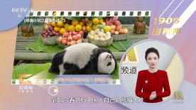 成人h动漫精品一区二